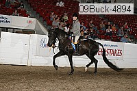 09buck-4894 proof