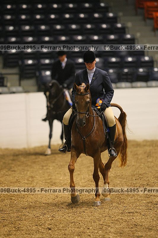 Proof 09buck-4895