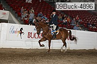 09buck-4896 proof