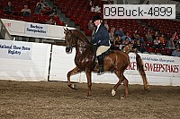 09buck-4899 proof