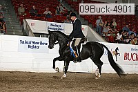 09buck-4901 proof