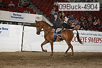 09buck-4904 proof