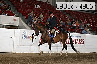 09buck-4905 proof
