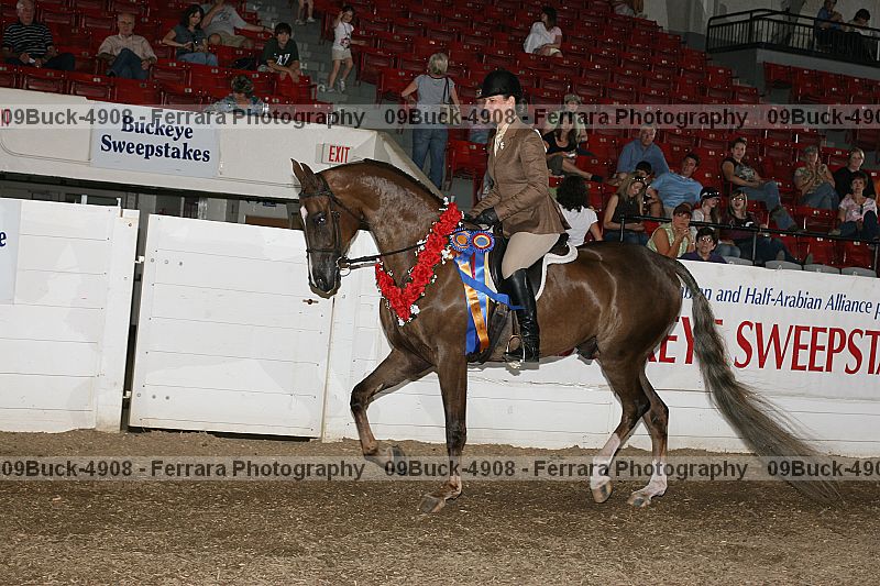 Proof 09buck-4908