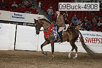 09buck-4908 proof