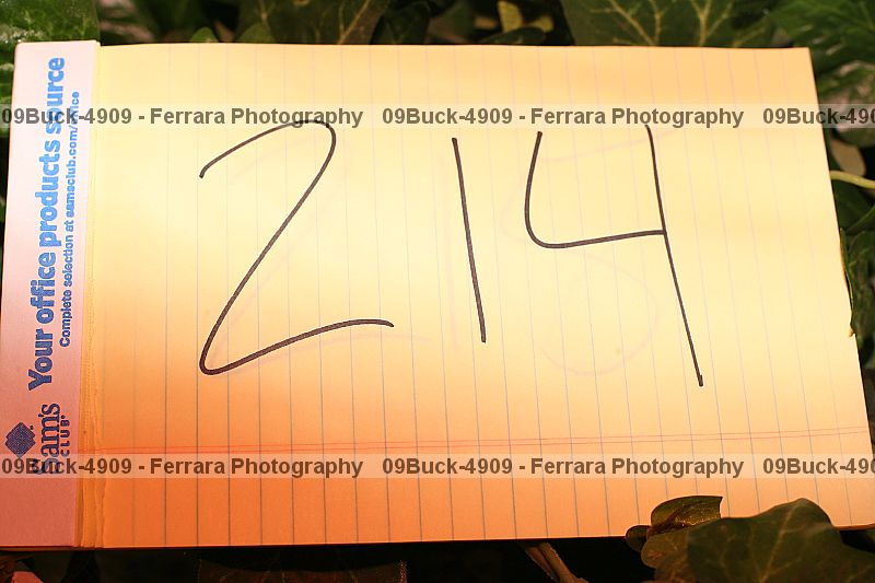 Proof 09buck-4909