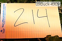 09buck-4909 proof