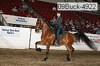 09buck-4922 proof