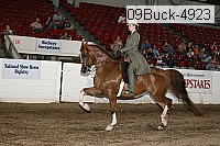 09buck-4923 proof