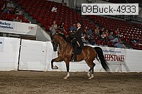 09buck-4933 proof