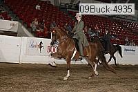 09buck-4935 proof
