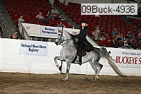 09buck-4936 proof