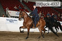 09buck-4937 proof