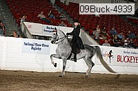 09buck-4939 proof
