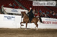 09buck-4940 proof