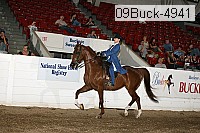 09buck-4941 proof