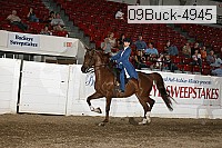 09buck-4945 proof