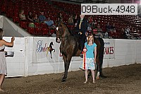 09buck-4948 proof