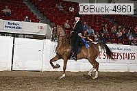 09buck-4960 proof