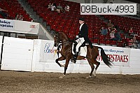 09buck-4993 proof