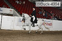 09buck-4994 proof