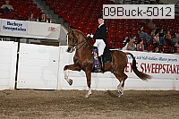 09buck-5012 proof
