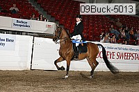09buck-5013 proof