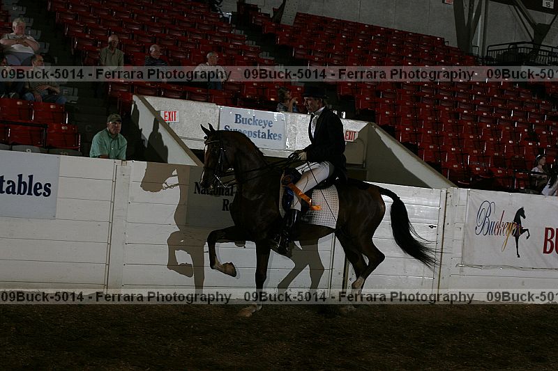 Proof 09buck-5014