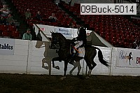 09buck-5014 proof