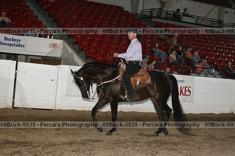 Proof 09buck-5035