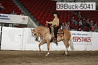 09buck-5041 proof