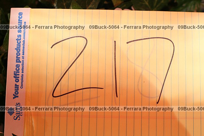 Proof 09buck-5064
