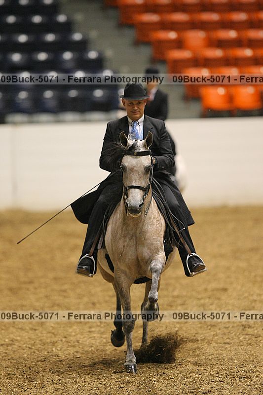 Proof 09buck-5071