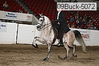 09buck-5072 proof