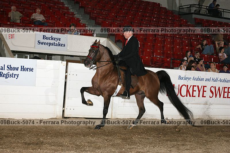 Proof 09buck-5074
