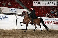 09buck-5074 proof