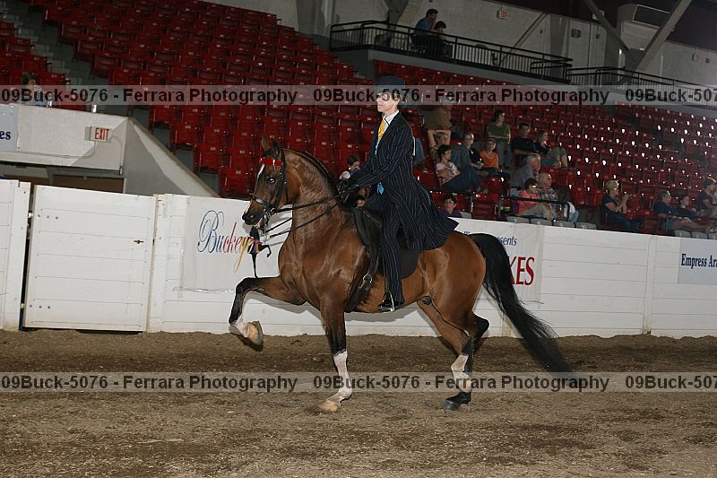 Proof 09buck-5076