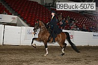 09buck-5076 proof