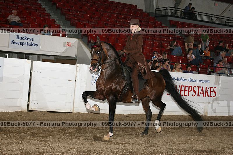 Proof 09buck-5077