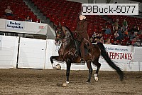 09buck-5077 proof