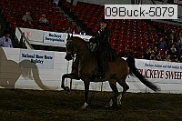 09buck-5079 proof