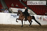 09buck-5082 proof