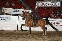 09buck-5084 proof
