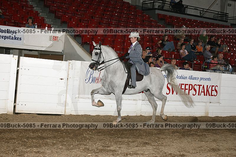 Proof 09buck-5085