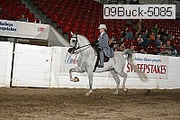 09buck-5085 proof