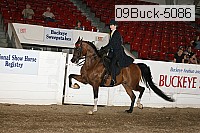 09buck-5086 proof