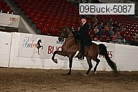 09buck-5087 proof