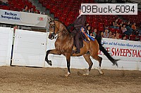 09buck-5094 proof