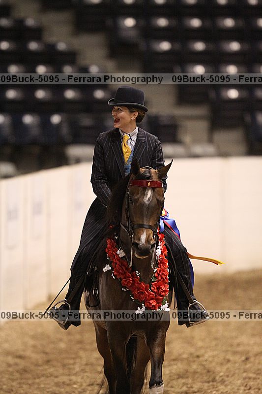 Proof 09buck-5095