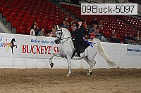09buck-5097 proof